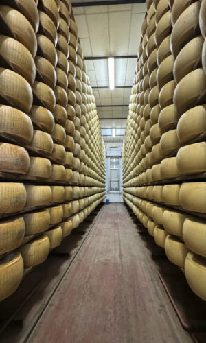 A Culinary Journey Through Emilia-Romagna