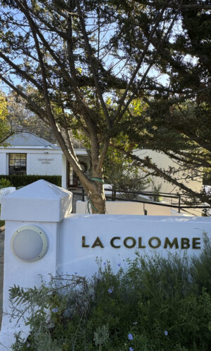 Constantia Valley