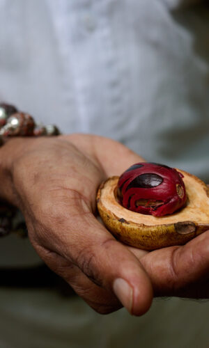 Spice gardens and cooking classes..